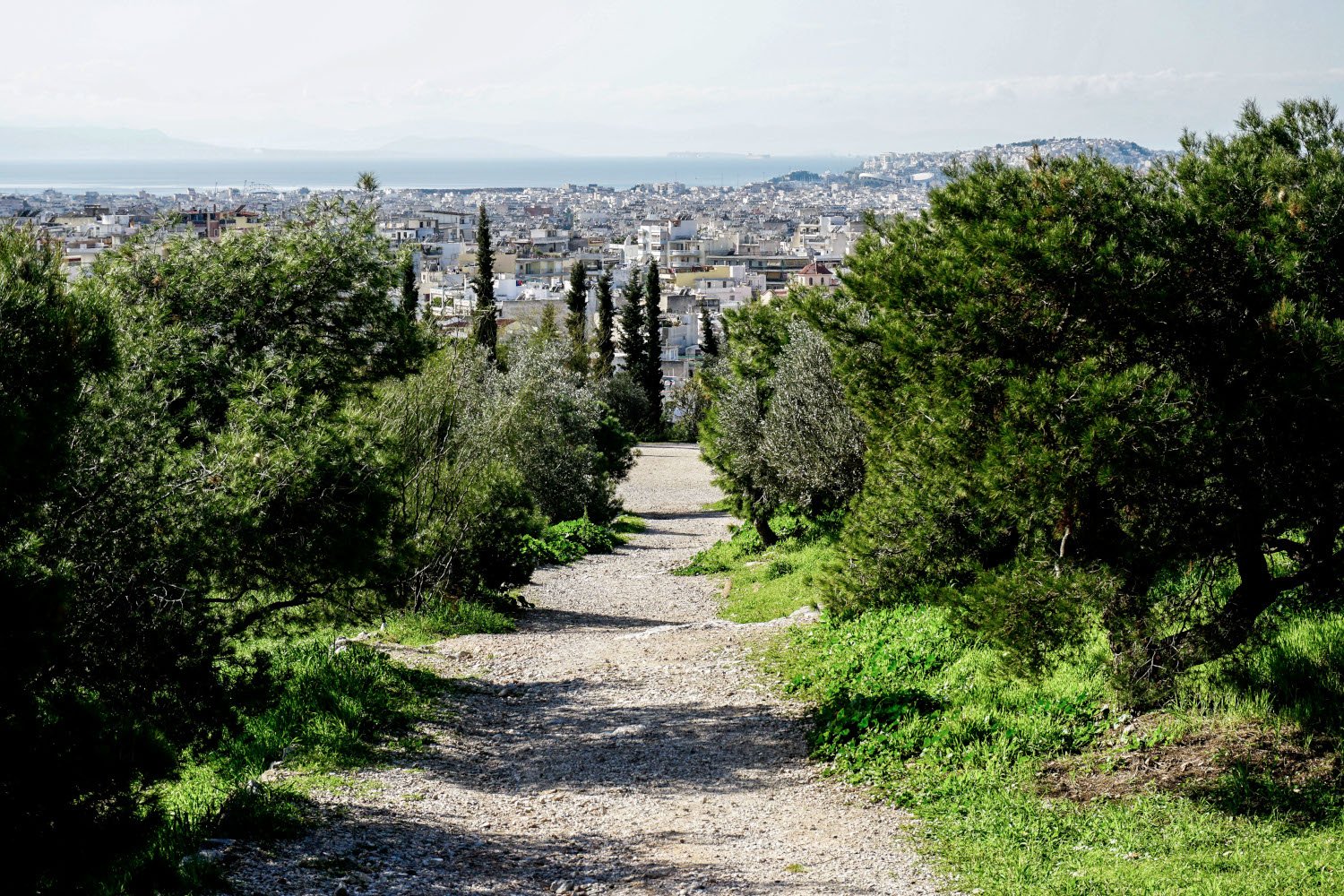 Αιματηρή συμπλοκή στον Λόφο Φιλοπάππου: Σοβαρός καβγάς για ακαθαρσίες σκύλου κατέληξε σε τραυματισμούς – Είχε προηγηθεί παρόμοιο περιστατικό