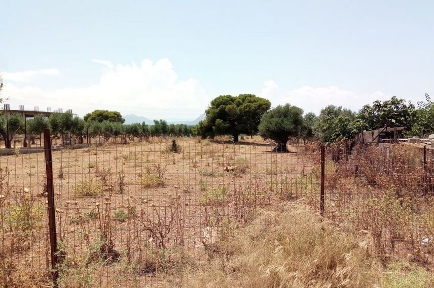 Νέα Υπουργική Απόφαση για τον Καθαρισμό Οικοπέδων: Όλες οι Αλλαγές σε Προθεσμίες, Πρόστιμα και Ελέγχους