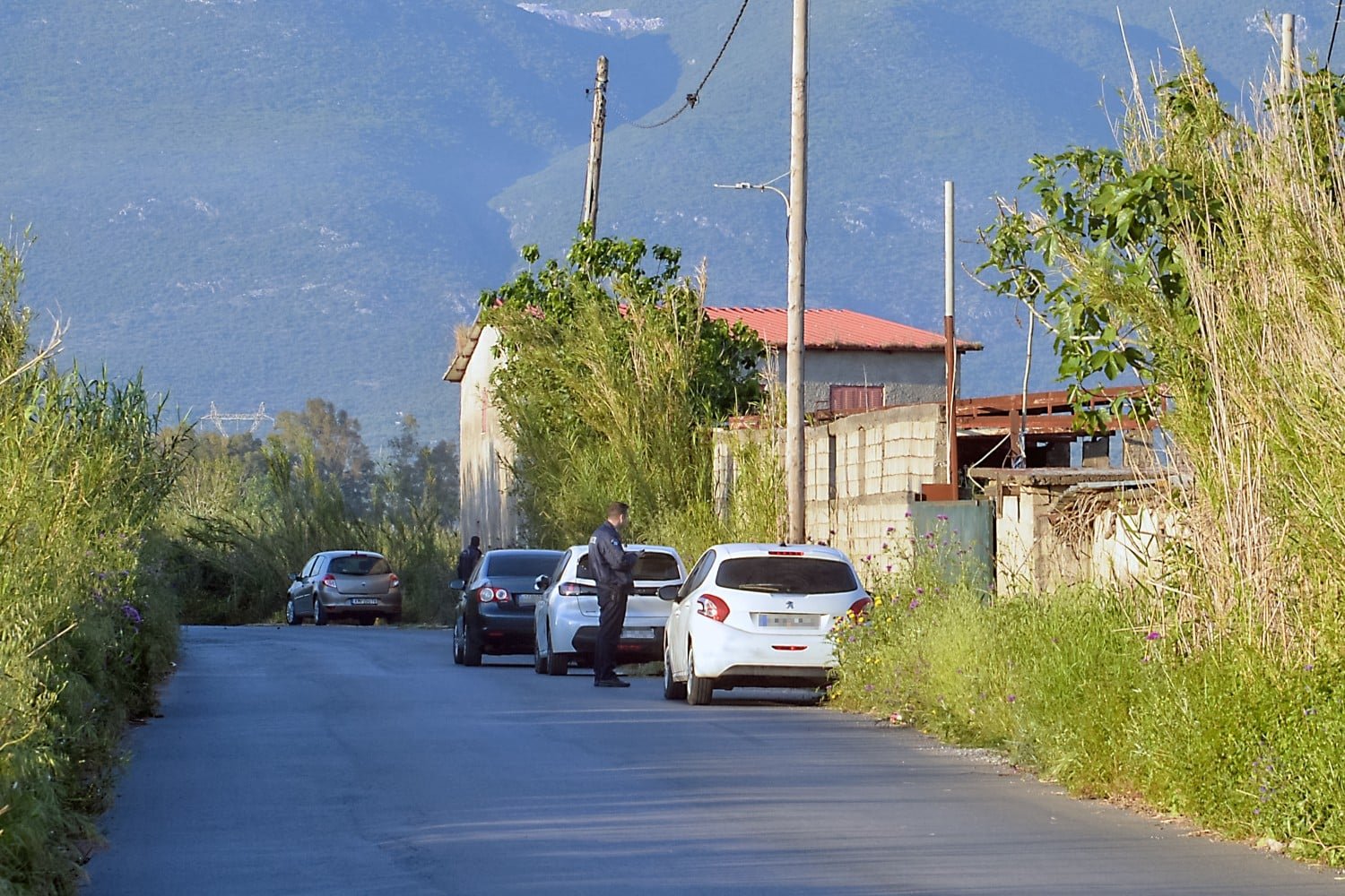 Μεσσηνία: Τρία άτομα υπό εξέταση για τη δολοφονία 44χρονου σε στάβλο – Εκτεταμένες έρευνες στην περιοχή