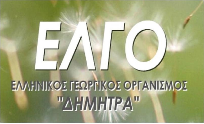 ΕΛΓΟ Δήμητρα: Νέες θέσεις εργασίας για 4 άτομα – Όροι και προθεσμίες υποβολής αιτήσεων