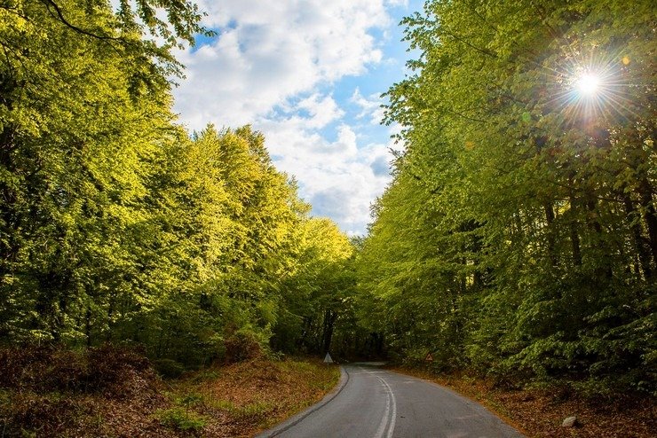 Επτά στις δέκα περιοχές Natura προστατεύονται πλέον από Ειδικές Περιβαλλοντικές Μελέτες