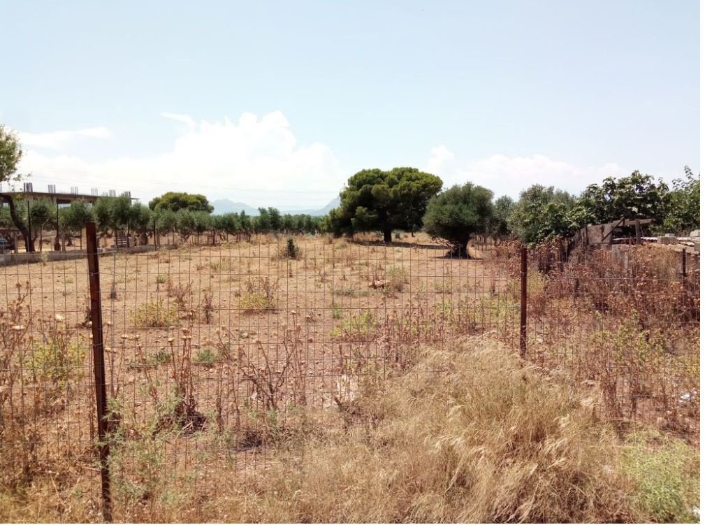 Υποχρεώσεις Καθαρισμού Οικοπέδων: Οδηγός για Ιδιοκτήτες ενόψει Αντιπυρικής Περιόδου