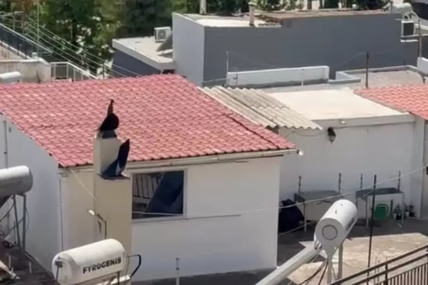 Περιστέρι: Οικογένεια έξι παιδιών σε άθλιες συνθήκες – Γονείς κρίθηκαν ένοχοι για έκθεση ανηλίκων