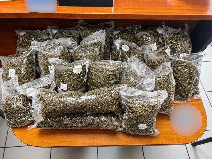 Σημαντική Επιτυχία της Αστυνομίας στη Θεσσαλονίκη: Συνελήφθη Αλλοδαπός με Μεγάλη Ποσότητα Κάνναβης και Εκκρεμεί Ένταλμα για Κλοπές