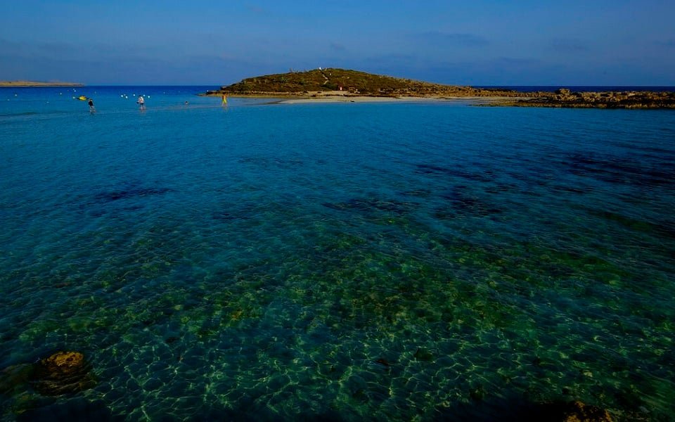 Παπασταύρου: Σύσταση ομάδας με τη Γαλλία για την προστασία των θαλασσών