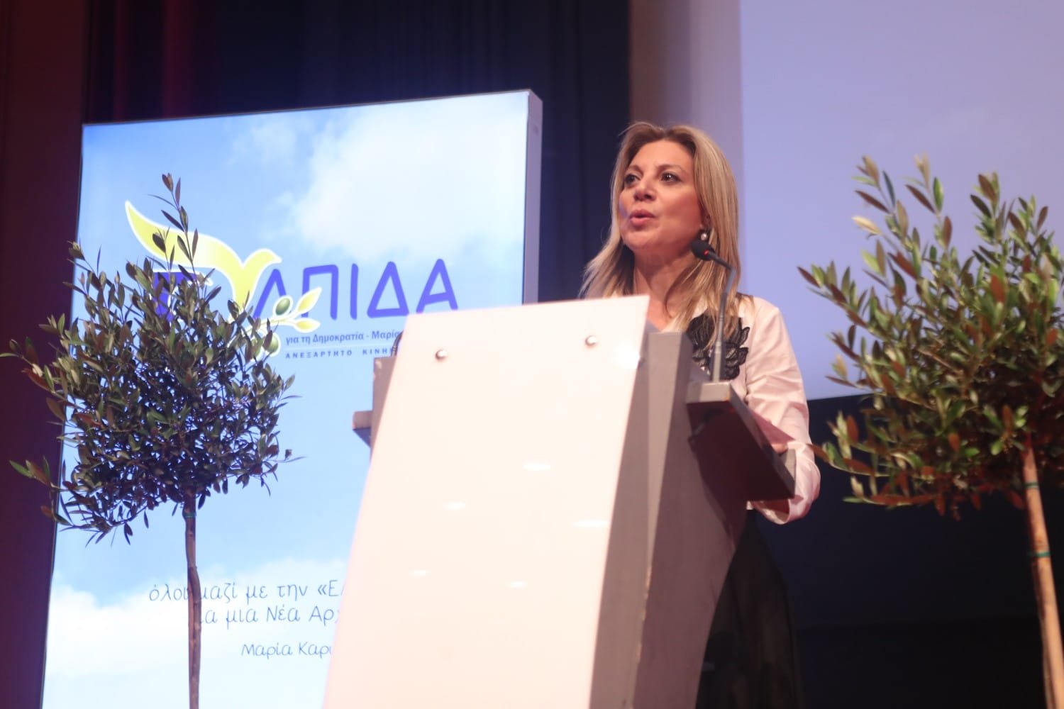 Αναβολή για την κατάθεση της ιδρυτικής διακήρυξης του κόμματος της Μαρίας Καρυστιανού στον Άρειο Πάγο
