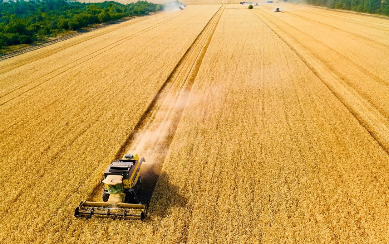 Νέα Επιδότηση 15% στα Λιπάσματα: Η Πλατφόρμα Ανοίγει Εντός της Εβδομάδας – Κάλυψη Από τα Μέσα Μαρτίου