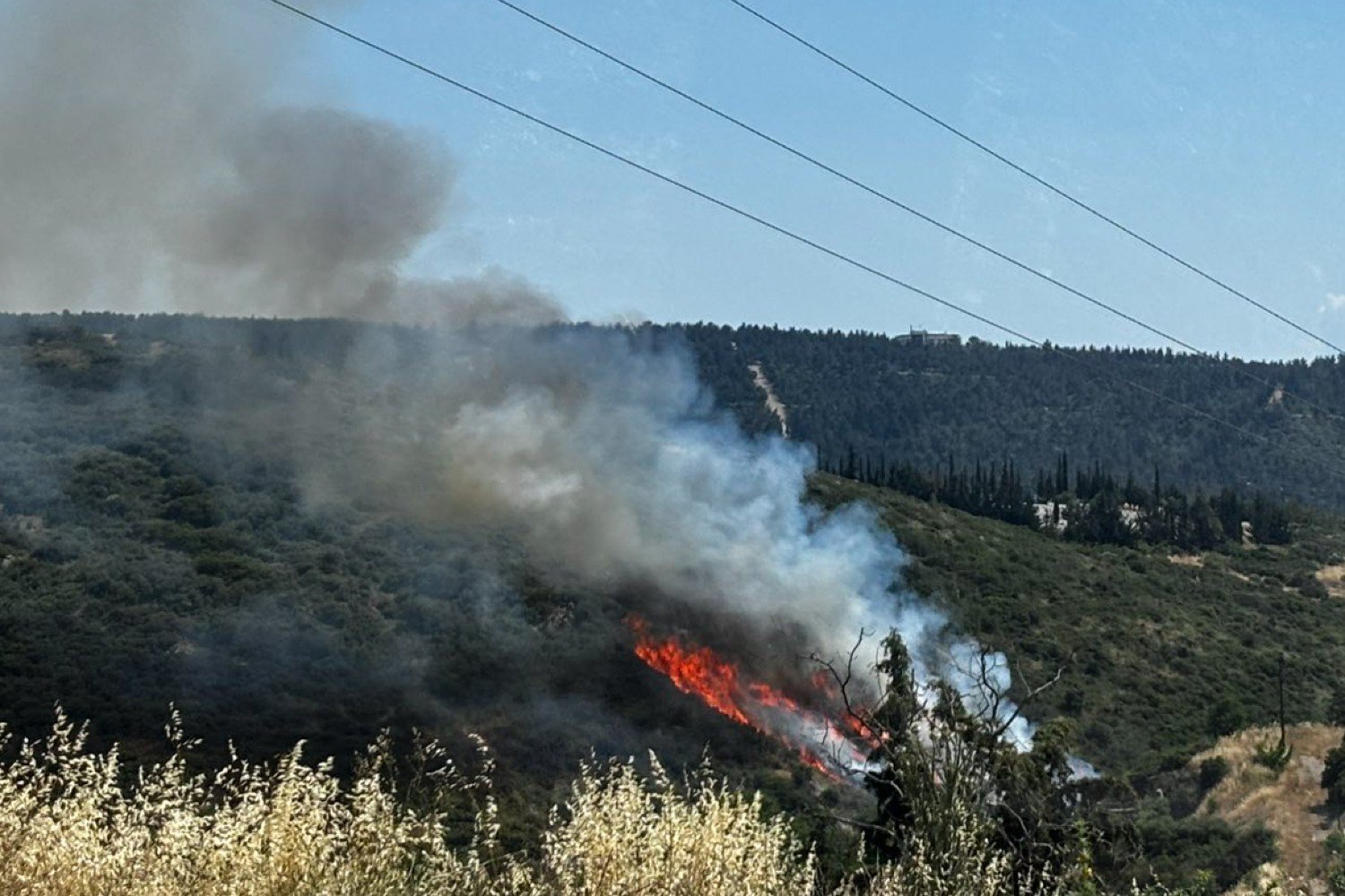 Θεσσαλονίκη: Τρεις συλλήψεις για την πυρκαγιά στο Φίλυρο – Τι επιπτώσεις θα έχουν οι παραβάτες