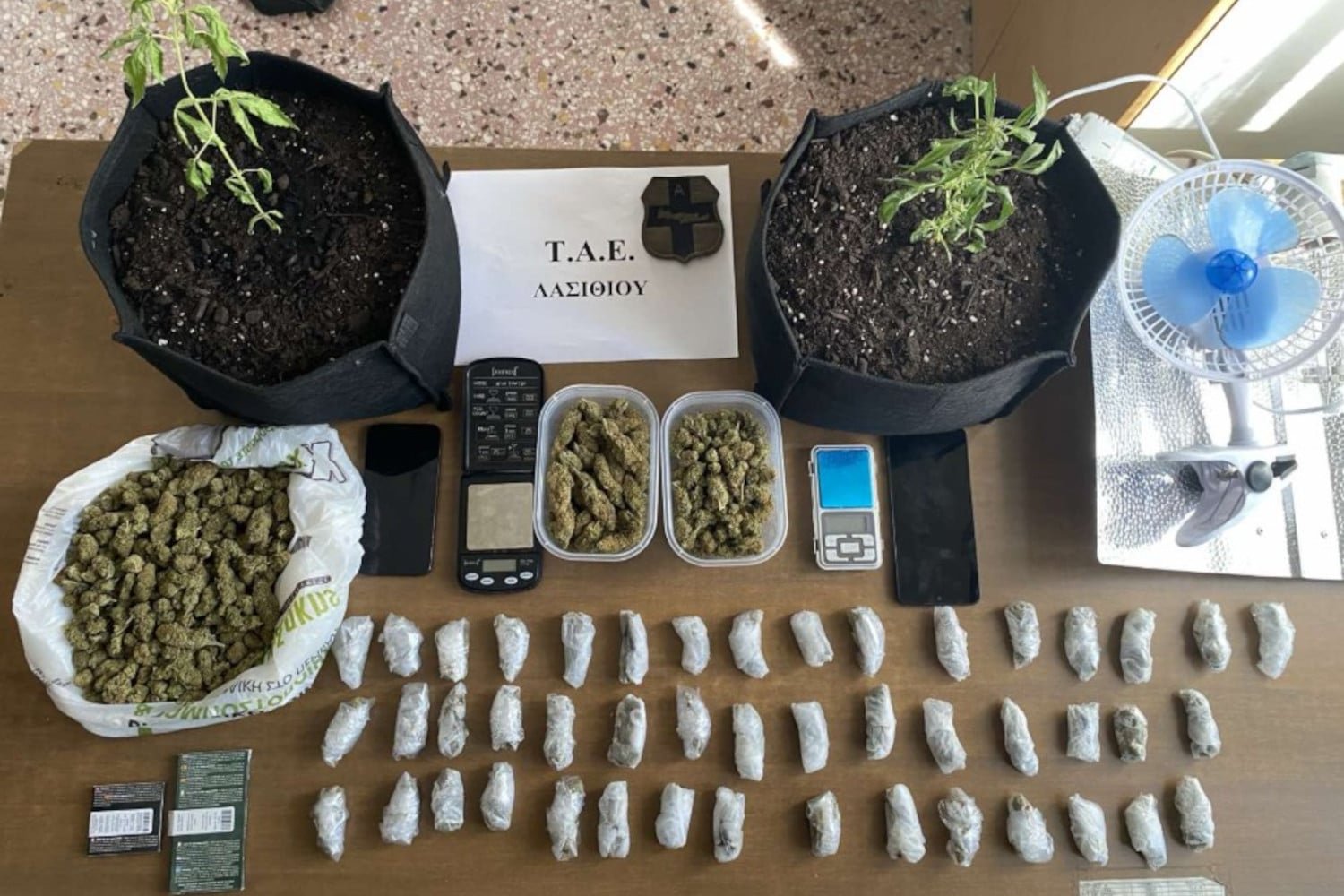 Συνελήφθησαν Λασίθι: Νεαροί με ποσότητα ναρκωτικών και εξοπλισμό καλλιέργειας