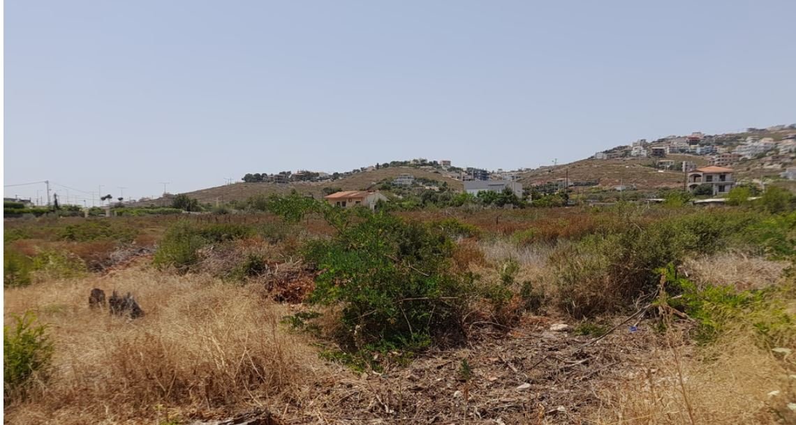 Ακαθάριστα Οικόπεδα: Αύριο η Κρίσιμη Συνεδρίαση της Επιτροπής για Πιθανή Παράταση στην Προθεσμία Καθαρισμού