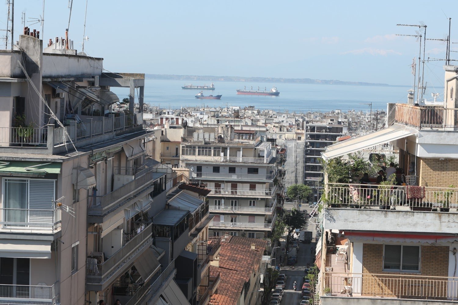 Θεσσαλονίκη: Συνταξιούχος αστυνομικός αντιμετωπίζει σοβαρές κατηγορίες για δηλητηρίαση αδέσποτων γατών με φόλα – Η υπόθεση και η απολογία του