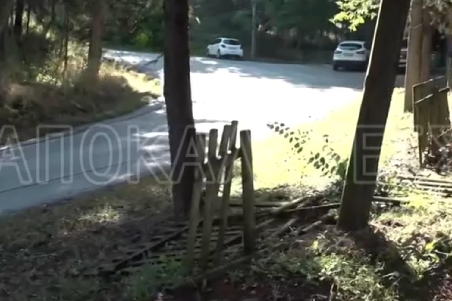 Ανατριχιαστικές λεπτομέρειες από τη Δράμα: Ο αστυνομικός που αυτοκτόνησε εν κινήσει μετά τη γυναικοκτονία της συζύγου του – Εντοπίστηκε από γιατρό γείτονα (βίντεο)