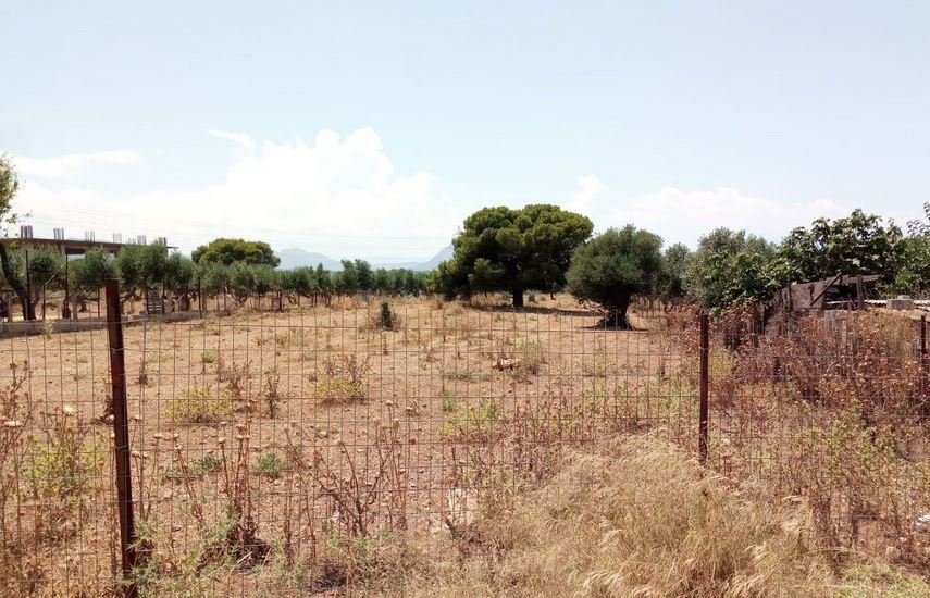 Λήξη Προθεσμίας για Δηλώσεις Καθαρισμού Ακαθάριστων Οικοπέδων: Προσοχή στα Τσουχτερά Πρόστιμα και τις Κυρώσεις