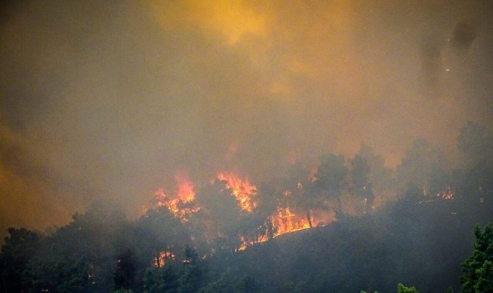 ΚΕΕΕ: Ζητά άμεση νομοθετική ρύθμιση για πυρόπληκτα δάνεια με 120 δόσεις και διαγραφές