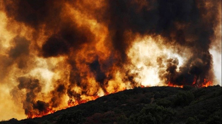 Πάνω από 700.000 στρέμματα έχουν παραδοθεί στις φλόγες από 13 μεγάλες πυρκαγιές στην Αττική την τελευταία εννιαετία, σύμφωνα με το ΜΕΤΕΟ/ΕΑΑ