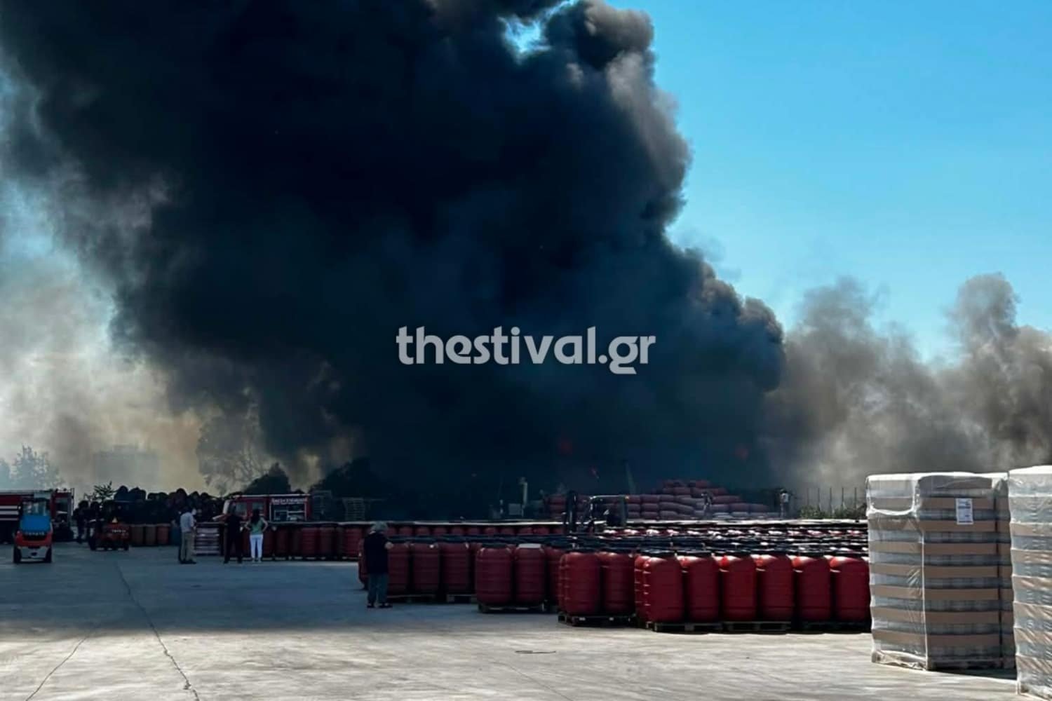 Θεσσαλονίκη: Ελεύθερος ο 70χρονος που συνελήφθη για την πυρκαγιά στο Καλοχώρι – Η δικαστική εξέλιξη και το διοικητικό πρόστιμο