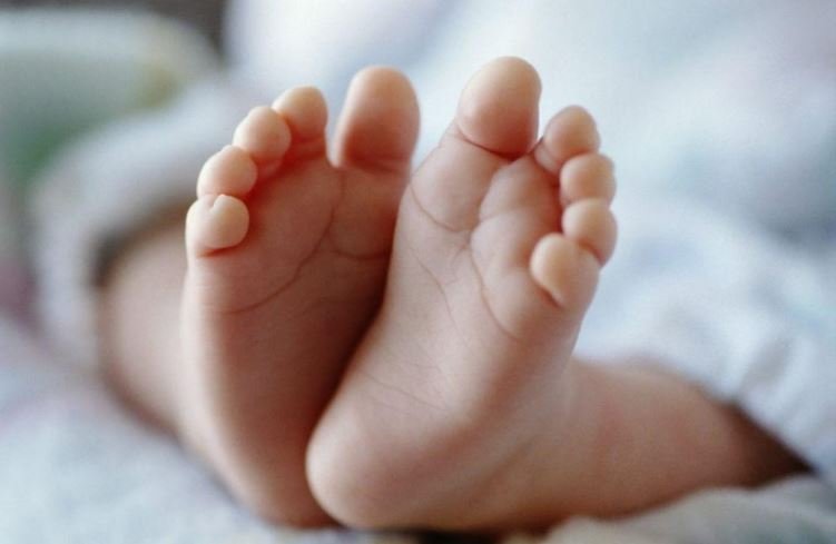 ΕΛΣΤΑΤ: Αύξηση των γεννήσεων ζώντων στην Ελλάδα το πρώτο τρίμηνο του 2026 – Αναλυτικά τα στοιχεία