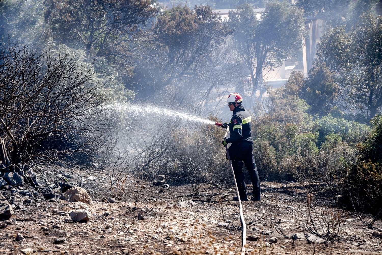 Πυρκαγιά στο Ρέθυμνο: Προσαγωγές υπό εξέταση για την καταστροφική πυρκαγιά – Ερευνώνται πρόσωπα από την Κρύα Βρύση