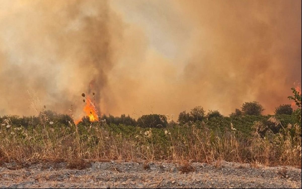 Πυροσβεστική: 73 Πυρκαγιές σε Όλη την Ελλάδα – Επικίνδυνες οι Εστίες σε Καλαμάκι και Ξηρονομή Βοιωτίας