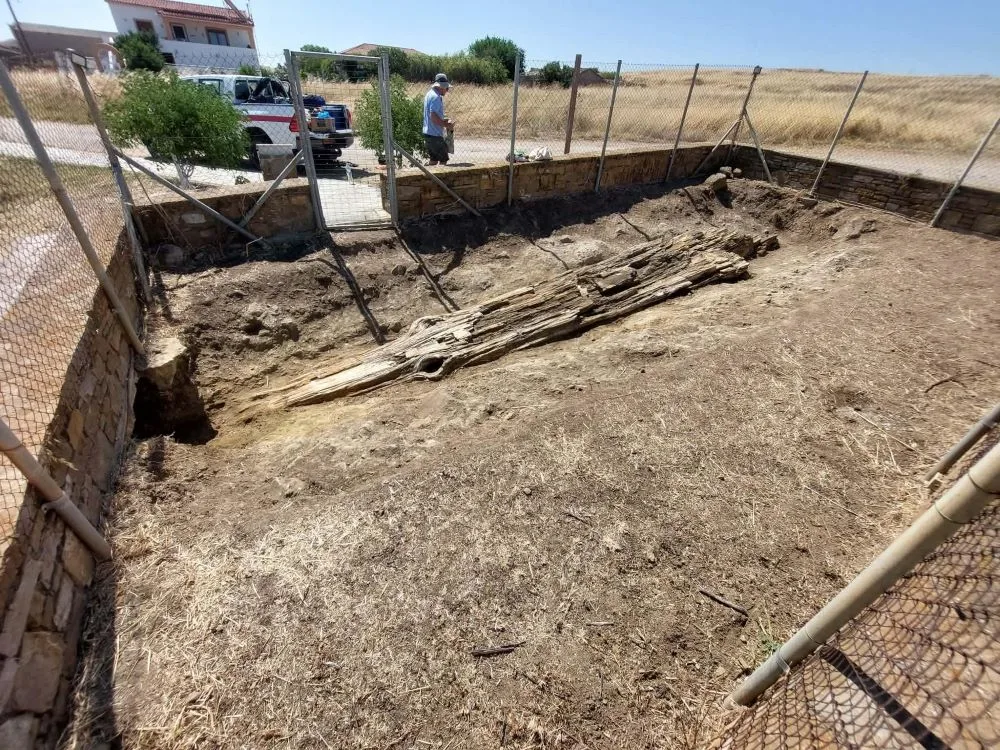 Αποκαλύπτεται Γιγάντιος Απολιθωμένος Κορμός Δέντρου στον Βάρος Λήμνου: Ένα Μνημείο 23 Εκατομμυρίων Ετών