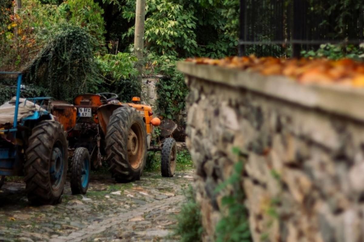 ΟΣΔΕ 2026: Η Ενιαία Αίτηση Ενίσχυσης Μέσω myAGRO και myAADE – Όλες οι Αλλαγές