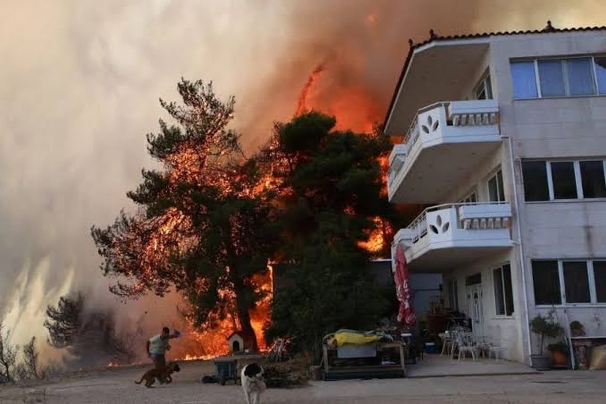 Δυτική Αττική Μετά τις Πυρκαγιές: Έργα Antinero, Αντιπλημμυρική Θωράκιση και η «Μάχη» πριν τις Βροχές