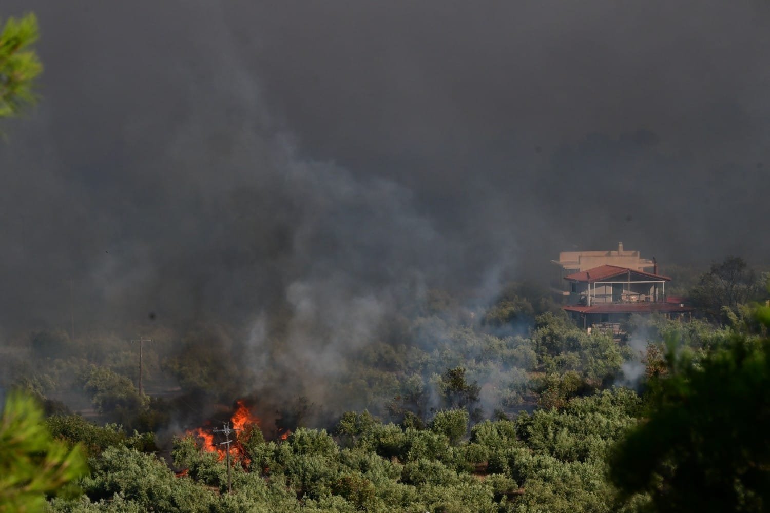 Βοιωτία: Τρεις στη φυλακή για την καταστροφική φωτιά – «Λουκέτο» στο αιολικό πάρκο και προσφυγές στη Δικαιοσύνη
