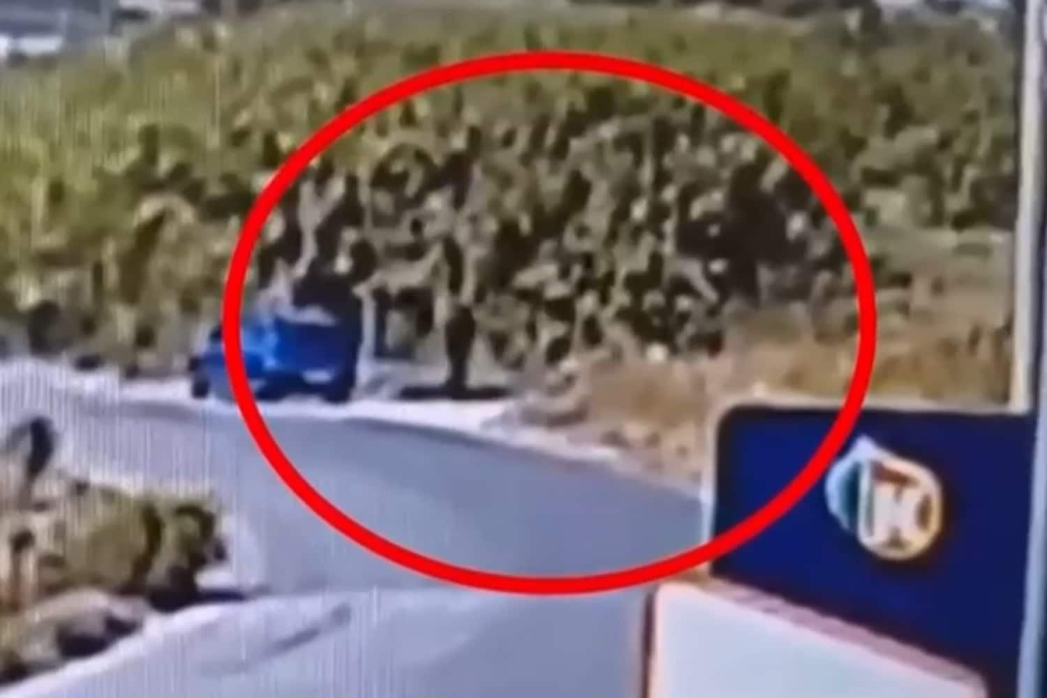 Σίνδος, Θεσσαλονίκη: Συλλήφθηκε 59χρονος για εμπρησμούς – «Ήμουν πιεσμένος από τη δουλειά, το έκανα για εκτόνωση» (βίντεο)
