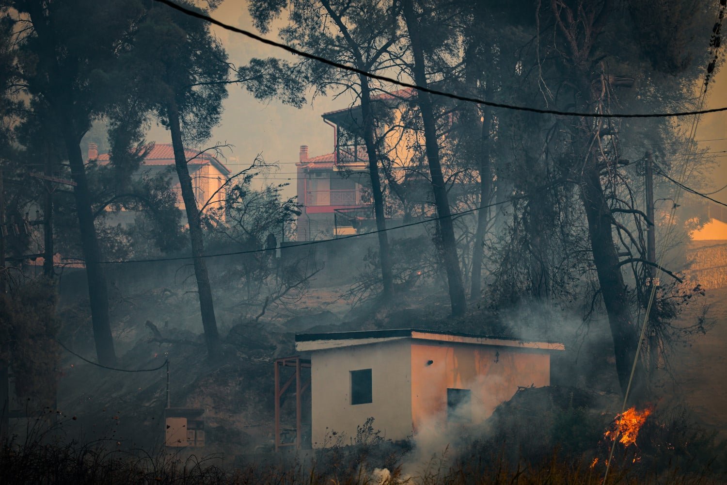 Συναγερμός στη Χαλκιδική: Τηλεοπτικό συνεργείο του Mega δέχθηκε βίαιη επίθεση εν ώρα κάλυψης της φωτιάς – Σπασμένος εξοπλισμός και σωματική επίθεση