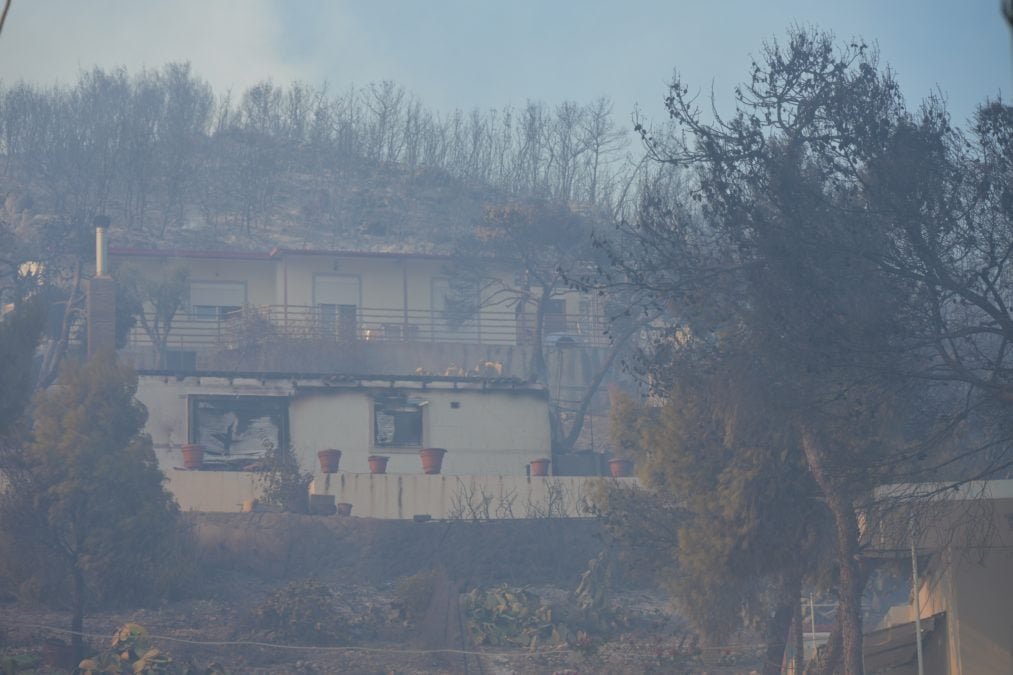 Υπουργός Υγείας Άδωνις Γεωργιάδης: «10 περιστατικά με εγκαύματα και αναπνευστικά προβλήματα από την πυρκαγιά στη Σαλαμίνα»