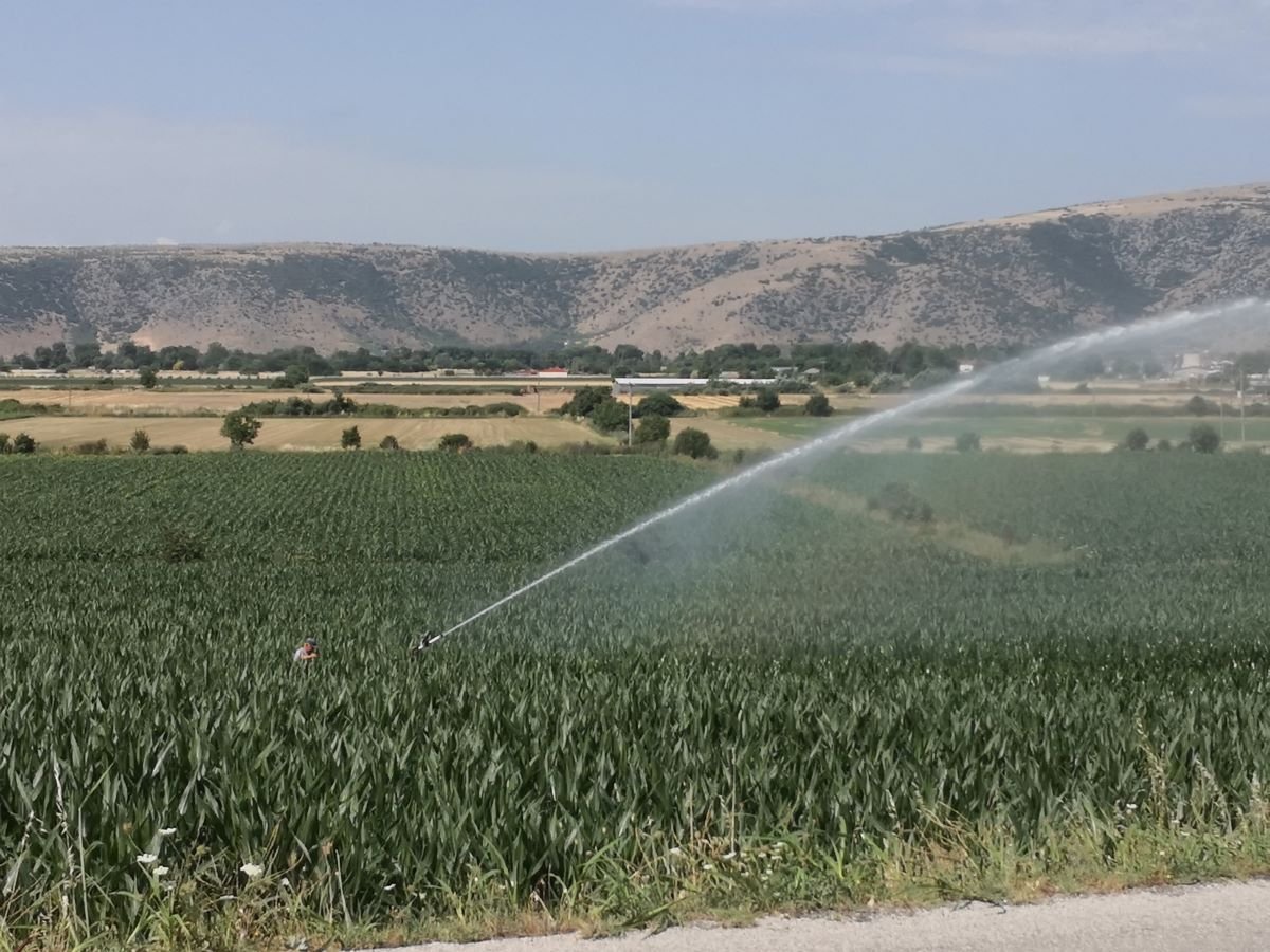 Θεσσαλία: Η Στάθμη του Υδροφόρου Ορίζοντα σε Δραματική Πτώση – Κίνδυνος Εξάντλησης Υδατικών Πόρων