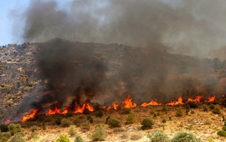 Πυροσβεστική Υπηρεσία: 47 Αγροτοδασικές Πυρκαγιές σε 24 Ώρες – Εικόνα και Δράση