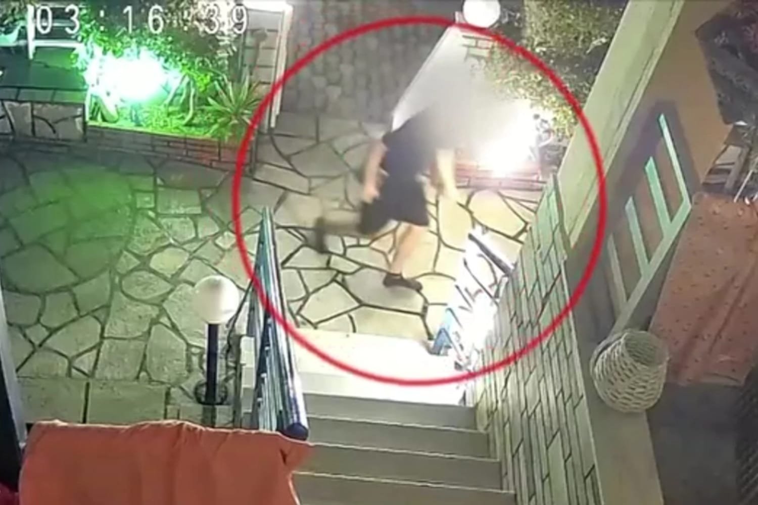 Πρωτοφανής Κλοπή στη Χαλκιδική: Άγνωστος Άρπαξε Μαγιό από Απλώστρα, Η Ιδιοκτήτρια Ζητά Επιστροφή (Βίντεο)