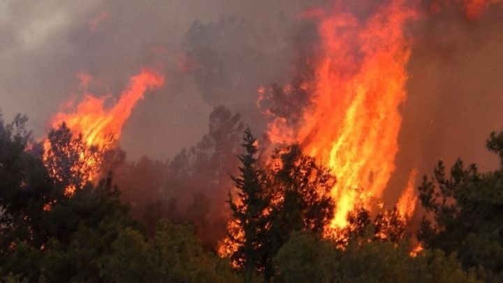 Δραματική Εκκένωση στη Νεβάδα: Τεράστια Πυρκαγιά Απειλεί χιλιάδες κατοίκους και το Ρίνο