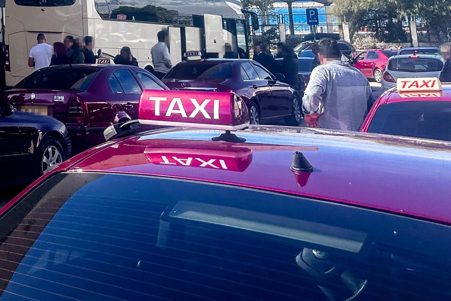 Συγκινητική Ανθρωπιά στην Πάτρα: Οδηγός Ταξί Παρέσυρε Γατάκι, Έμεινε στο Σημείο και Κάλεσε την Αστυνομία