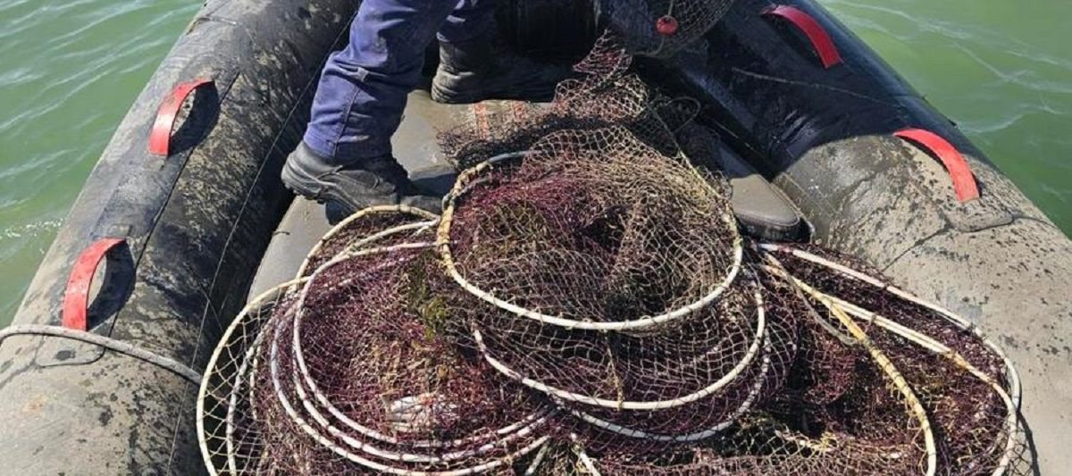 Θεσσαλονίκη: 96 ιχθυοπαγίδες εντοπίστηκαν και κατασχέθηκαν στον Θερμαϊκό Κόλπο, δημιουργώντας ναυτιλιακό κίνδυνο