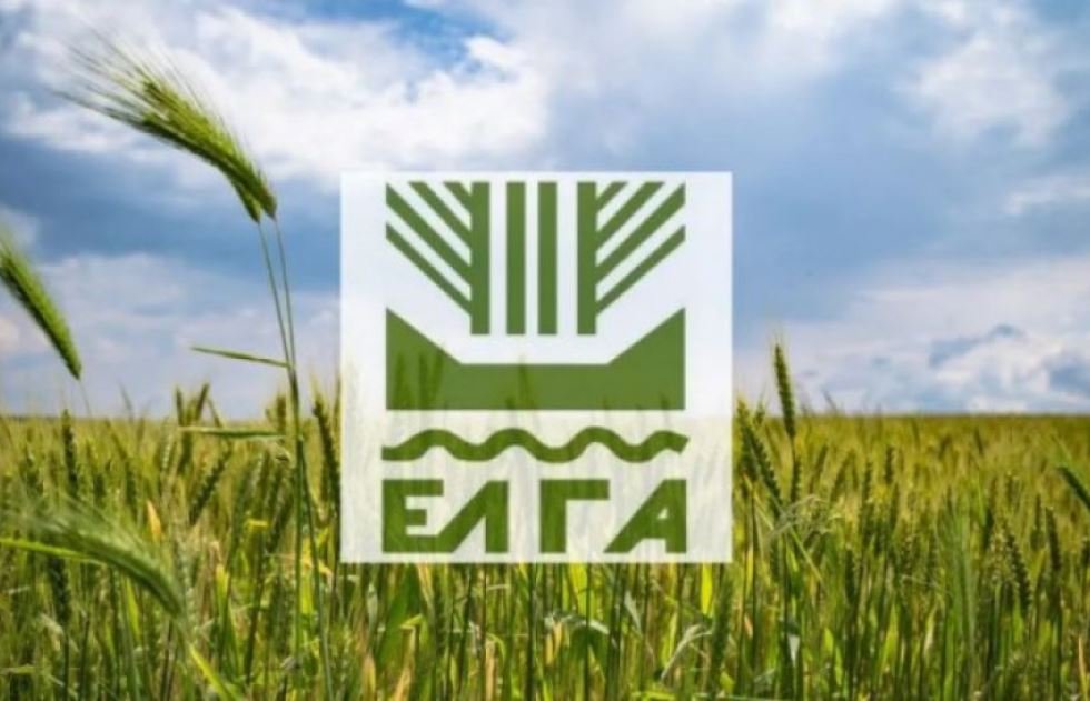 ΕΛΓΑ: Άνοιξε η προκήρυξη για 63 θέσεις εργασίας, χωρίς απαίτηση πτυχίου για ορισμένες ειδικότητες – Δείτε προθεσμίες και ειδικότητες
