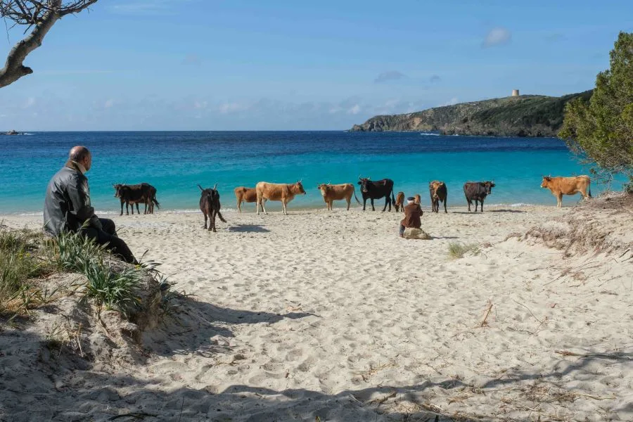 Η κωμωδία «Έτσι είναι η ζωή» του Ρικάρντο Μιλάνι έρχεται στα θερινά