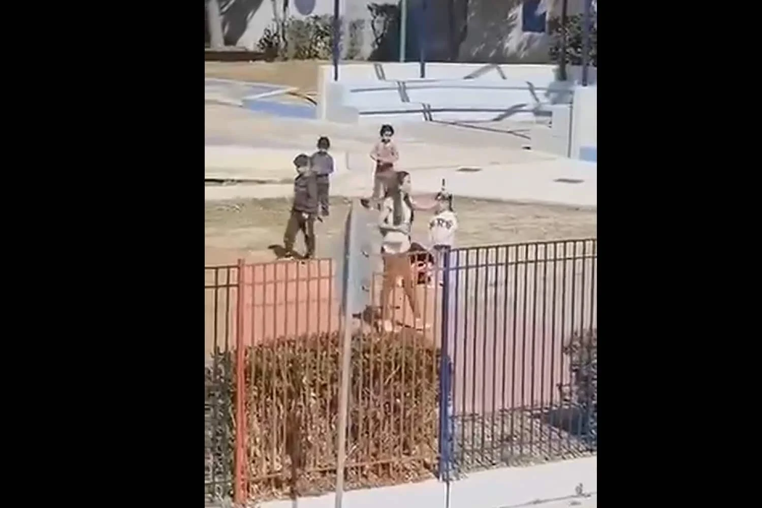 Άνω Λιόσια: Σε σοβαρή κατάσταση νοσηλεύεται η διευθύντρια του νηπιαγωγείου μετά την επίθεση από Ρομά - «Εκβιάζουν τη σχολική κοινότητα» - Lawandorder.gr