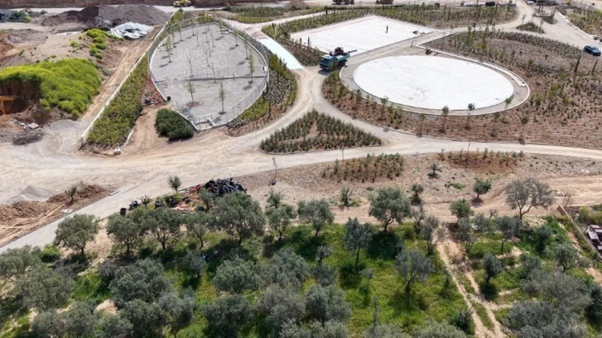 Ανάπλαση Ελαιώνα: Παράταση του Αρχιτεκτονικού Διαγωνισμού Ιδεών