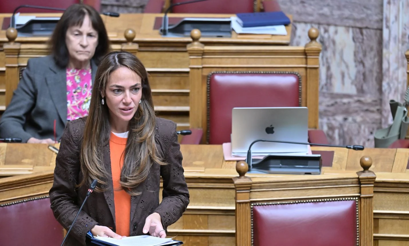 Μιχαηλίδου για Ανακαινίζω: Μέσα στο επόμενο δεκαήμερο αρχίζει η κατάθεση των δικαιολογητικών - Τι είπε για το Σπίτι μου ΙΙΙ - enikonomia.gr