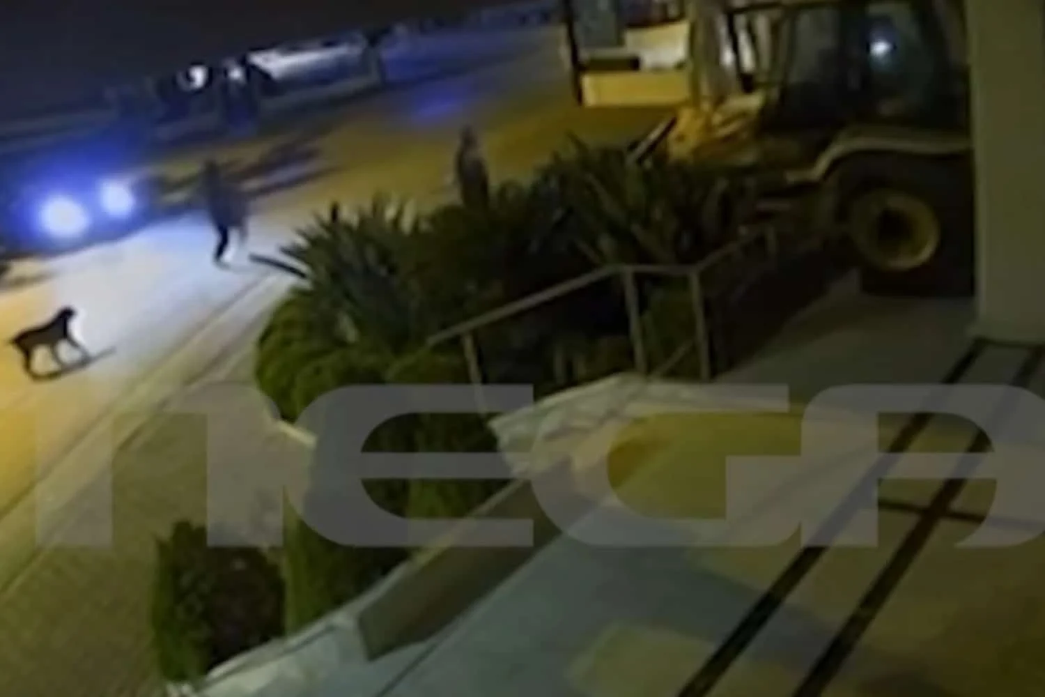 Αυλίδα: Μπούκαραν με σκαπτικό μηχάνημα σε κοσμηματοπωλείο – Δείτε βίντεο