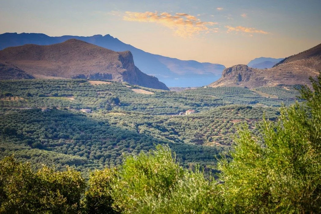 ΕΤΑΔ: Πιλοτικό πρόγραμμα εκμίσθωσης αγροτικών ακινήτων σε 11 Περιφερειακές Ενότητες