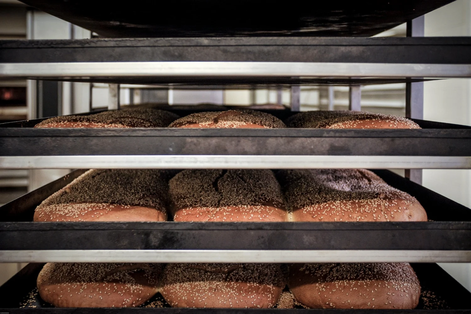 Bread Factory: «Δεν έχουμε σχέση με την υπόθεση “Χωριάτικο”» – Ζητά να ξεμπλοκαριστούν οι λογαριασμοί - Aγωνία για 1.000 εργαζόμενους
