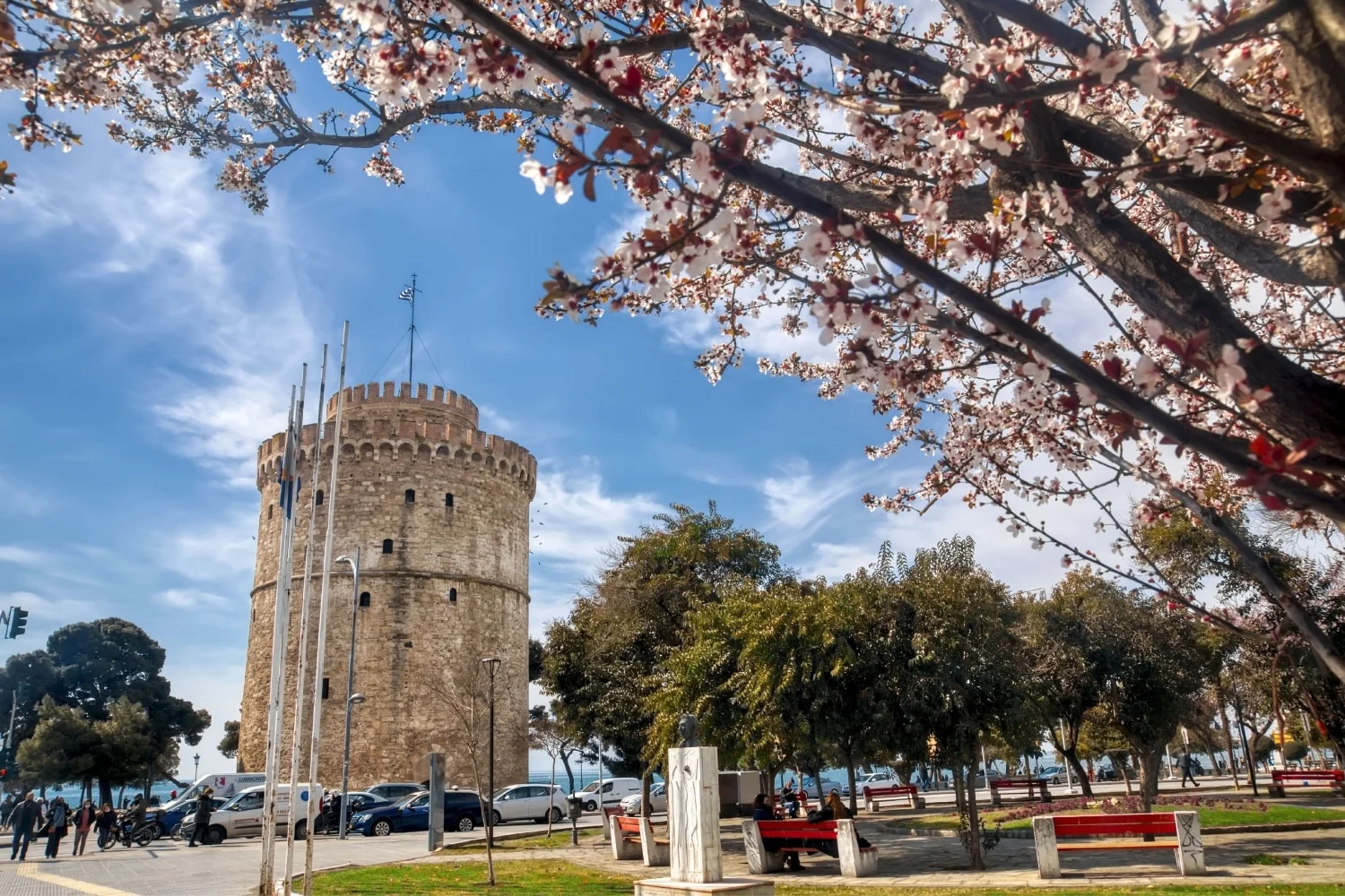 Θεσσαλονίκη: Ελεύθερος ο 18χρονος που καταγγέλθηκε από τη σύντροφό του για ενδοοικογενειακή βία και κακοποίηση ζώου - Lawandorder.gr